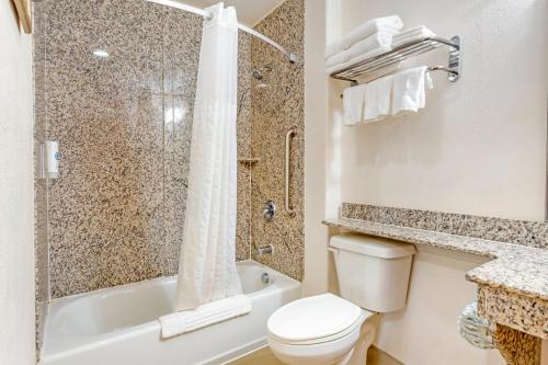 a bathroom with a toilet and a shower and a sink at Comfort Inn & Suites Chesapeake - Portsmouth in Chesapeake