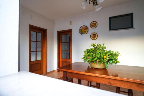 a room with a table with a potted plant on it at Casa refúgio com pátio interior in Alcobaça