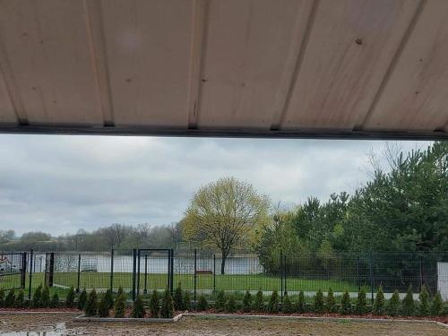 a window with a view of a park and a lake at zakątek pod świerkami in Gulbiny