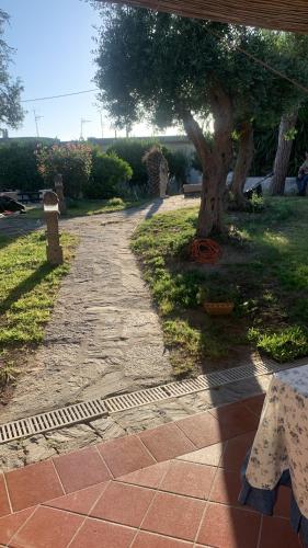 a stone walk way with a tree and a table at Villa Liuba in Ischia