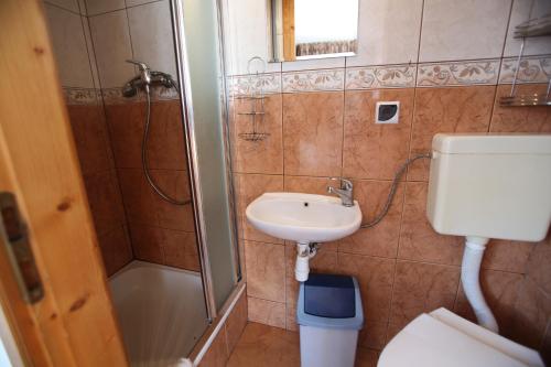 a bathroom with a sink and a shower and a toilet at Dom Wypoczynkowy u Niedzielskich in Białka Tatrzanska
