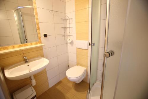 a bathroom with a toilet and a sink and a shower at Dom Wypoczynkowy u Niedzielskich in Białka Tatrzanska