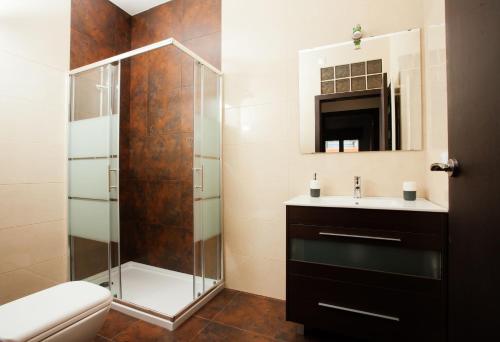 uma casa de banho com um chuveiro e um lavatório. em Apartamentos Florida 30 em Hernani