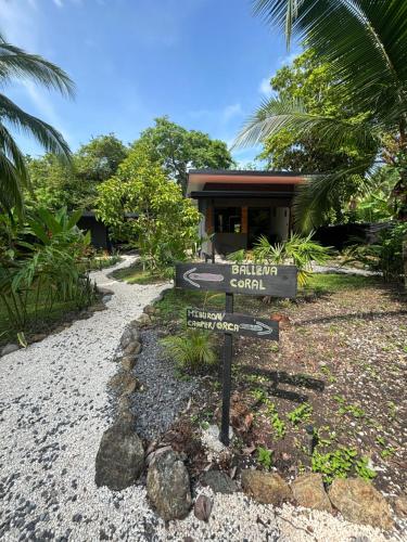 Un jardín fuera de DS House
