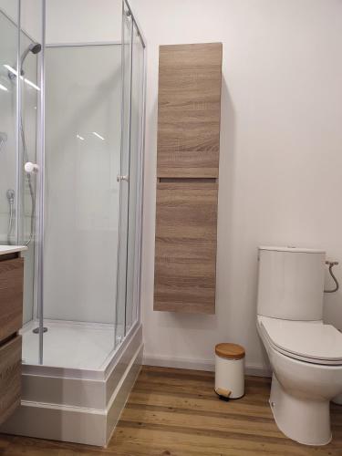 une salle de bain avec toilettes et douche en verre dans l'établissement Montpellier Gare St Roch, à Montpellier