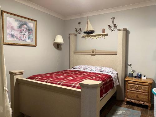 ein Schlafzimmer mit einem Bett mit einer roten karierten Decke in der Unterkunft Private Entrance Cozy Room at Heart of Chattanooga in Chattanooga
