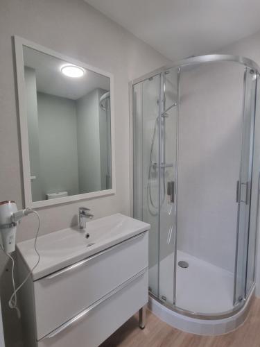 une salle de bain blanche avec un lavabo et une douche dans l'établissement L'Aiglon de Foch 2, à Grenoble