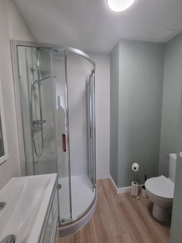 une salle de bain avec douche et toilettes dans l'établissement L'Aiglon de Foch 2, à Grenoble