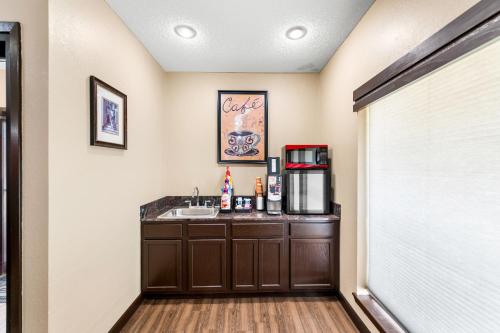 a bathroom with a sink and a counter at Econo Lodge Texarkana I-30 in Texarkana - Texas