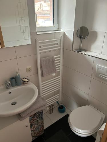 een kleine badkamer met toilet en wastafel bij Nele in Klütz