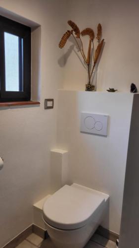 Un baño de Sattva Land