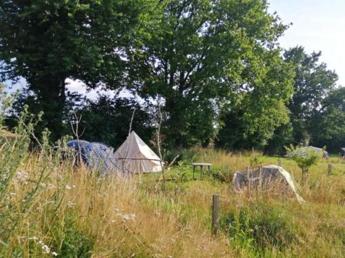 a couple of tents in a field with tall grass at Georgia camping ground - campsite and glamping Ateni Sioni in Gori