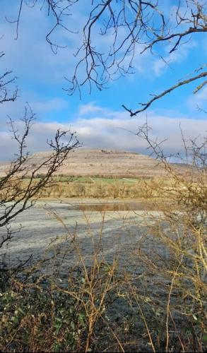 a view of a field with some trees in the foreground at House in the Burren Clare in Droíchead an Chláir