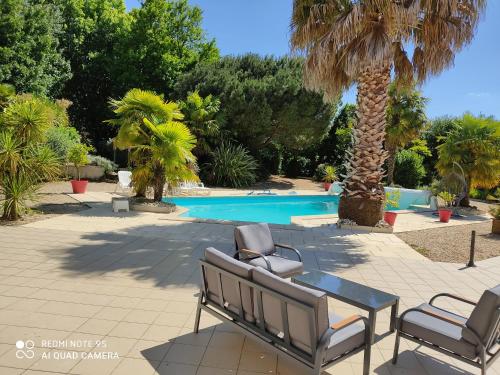 - une piscine avec 2 chaises, une table et un palmier dans l'établissement Gîtes des Colombières Piscine & Spa, à Saint-Maixent-sur-Vie