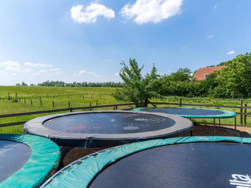 a group of trampolines in a field at Het Grootenhuis in Olst