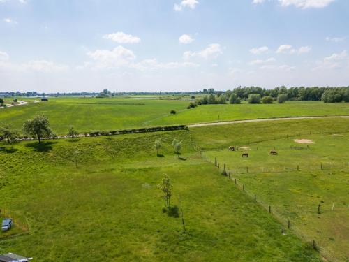 an aerial view of a green field with cows at Het Grootenhuis in Olst