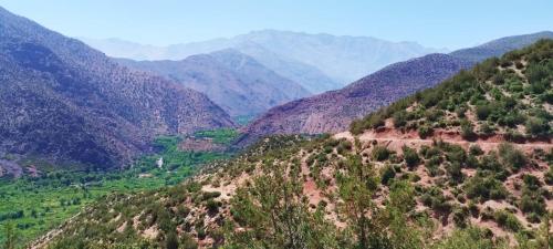 a view of a mountain valley with trees on it at Dar Imoughlad in Marrakech