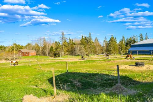 a farm with horses in a field with a barn at Cherryfield Home with Decks On Historic Horse Farm in Milbridge