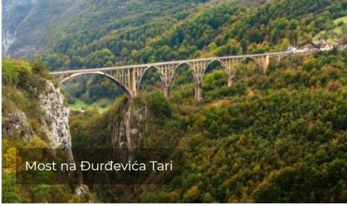 a bridge in the middle of a mountain at Family owned self sufficient ECO farm TARA in Pljevlja