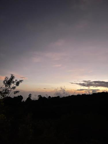 a view of a sunset with a tree in the foreground at Casa Monte Armadillo in Poás