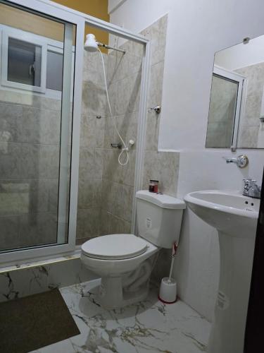La salle de bains est pourvue de toilettes et d'un lavabo. dans l'établissement Cozy private APT in La Ceiba, à La Ceiba