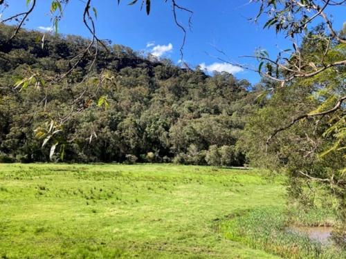 a field with a mountain in the background at Nature Retreat & Artists Studio 90mins from Sydney in Spencer