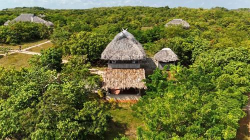 an aerial view of a hut in the trees at Rumah Tinggi at Pachamama in Nembrala
