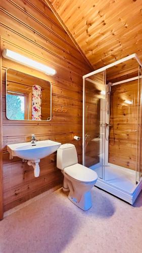 a bathroom with a toilet and a sink and a shower at Fjordhytte-3 in traumhafter Lage 100 Meter vom Hardangerfjord, Motorboot mietbar in Ænes