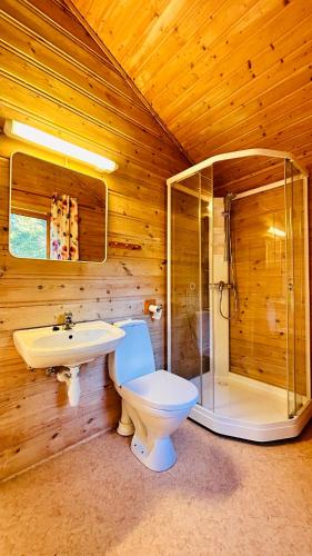 a bathroom with a toilet and a shower and a sink at Fjordhytte-2 am Hardangerfjord, grandioses Fjordpanorama, 20 PS Motorboot mietbar! in Ænes