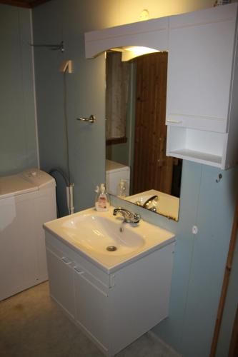 a bathroom with a sink and a mirror at Fjordhytte-40 im Vestland - Hordaland nahe Rosendal in Rosendal