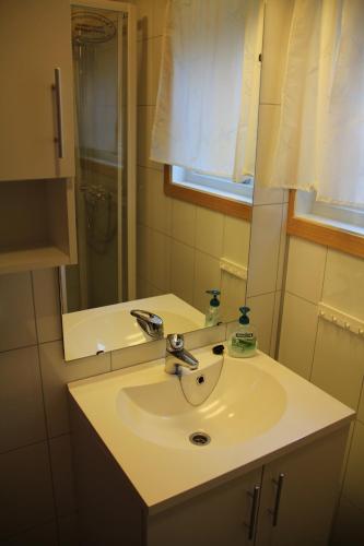 a bathroom with a sink and a mirror at Fjordhytte-39 am Hardangerfjord, Motorboot mietbar in Rosendal