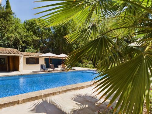 une piscine avec un palmier en face d'une maison dans l'établissement Mas rénové à Mouriès avec piscine, 6 chambres, terrasses et pool houses, en pleine nature provençale. - FR-1-599-90, à Mouriès