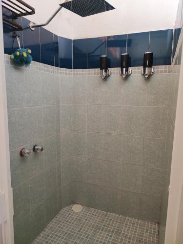 a bathroom with a shower with a toilet in it at Casa Maruja Guest House Zona Romántica in Puerto Vallarta