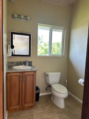 a bathroom with a toilet and a sink and a window at Ocean views, indoor and outdoor brilliance! in Haleiwa
