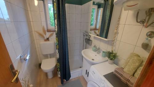 ein kleines Bad mit WC und Waschbecken in der Unterkunft Apartman Petra in Premantura