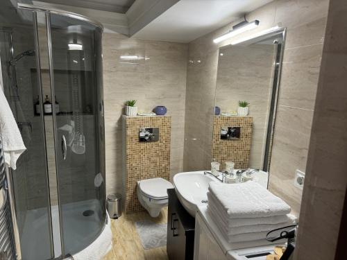 a bathroom with a toilet and a sink and a shower at Pretty Luxury Apartament's in Cluj-Napoca