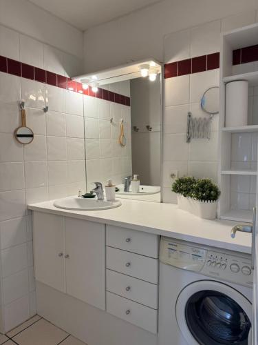 une salle de bain avec un lavabo et une machine à laver dans l'établissement La maison bleue de St Pierre, à Saint Pierre La Mer
