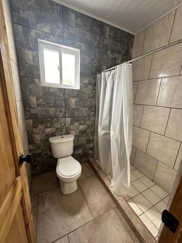a bathroom with a toilet and a shower and a window at Blasina Beer Hostel in Boquete
