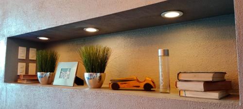 a shelf with plants and a toy car on it at Voss Condominium in Manila