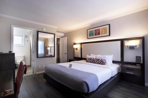 Habitación de hotel con cama grande y espejo en The Palo Alto Inn en Palo Alto