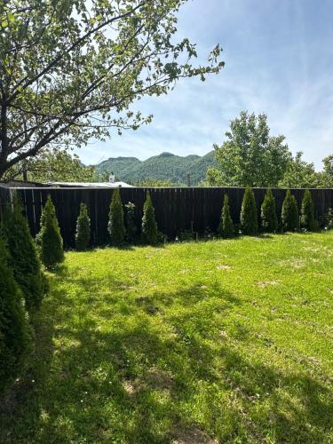 Priroda u blizini apartmana