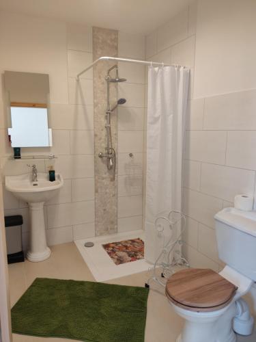 ein Bad mit einer Dusche, einem WC und einem Waschbecken in der Unterkunft Inspektorenhaus Dobbin Ferienpension in Linstow
