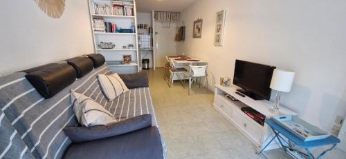 un salon avec un canapé et une télévision dans l'établissement MIMINE, à Sète
