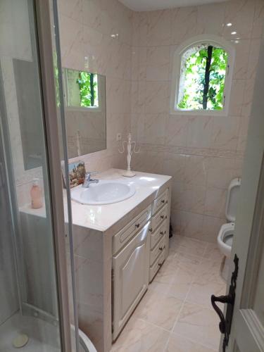 une salle de bain avec un lavabo et une douche dans l'établissement Maison Cannes Mougins, à Mougins