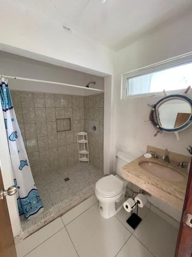 a bathroom with a toilet and a shower and a sink at Quintas del mar Mazatlán in Mazatlán