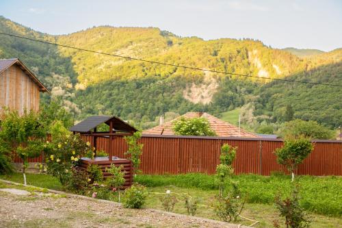 a red building with mountains in the background at CASA RUMELIA in Păltineni