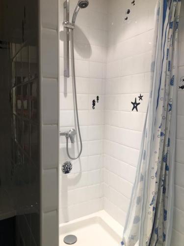 une salle de bain avec une douche avec un rideau de douche dans l'établissement Maison de ville provençale Tarascon 13150, à Tarascon