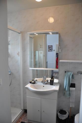 une salle de bain avec un lavabo, un miroir et une douche dans l'établissement La maison de Mado, à Saint-Ouen