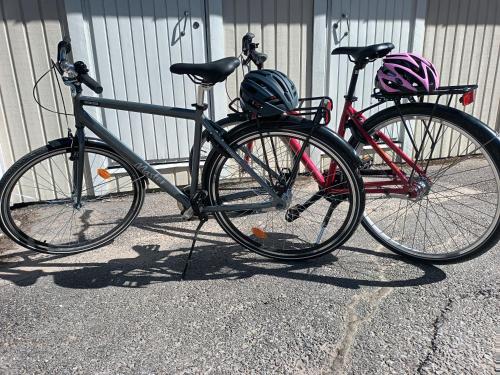 Jízda na kole v ubytování Koivukuja Apartment nebo okolí