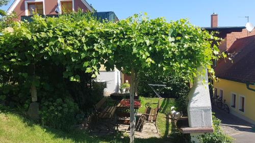 a large green tree in the yard of a house at FerienAppartments Landhaus FühlDichWohl in Fehring